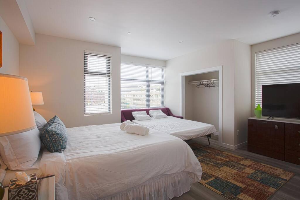 Comfy Studio With Cali King Size Mattress San Diego Extérieur photo